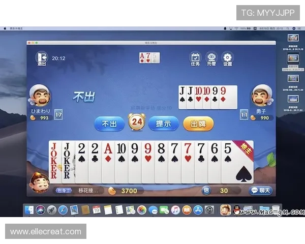 361se棋牌官网平台全面解析，如何选择最适合自己的在线棋牌游戏服务