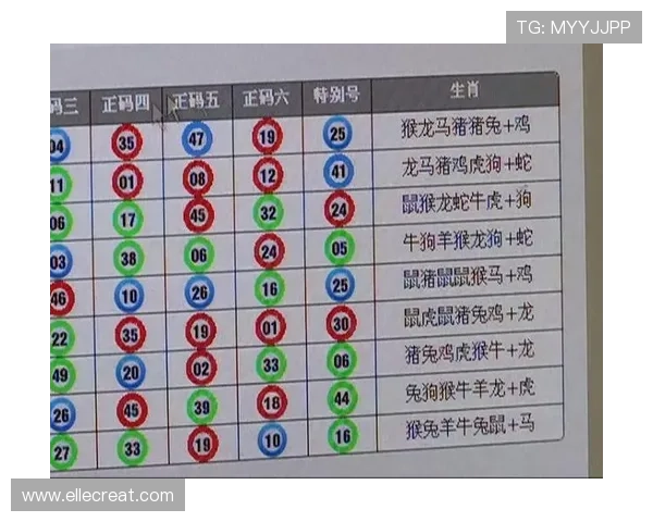 如何利用发财全看红波双打一生肖的方法实现稳定盈利